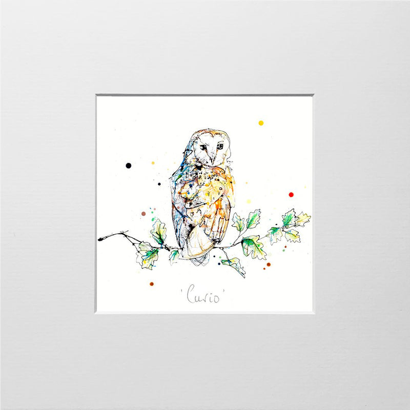 Curio - Barn Owl Print, 30x30cm with Size and Presentation Options