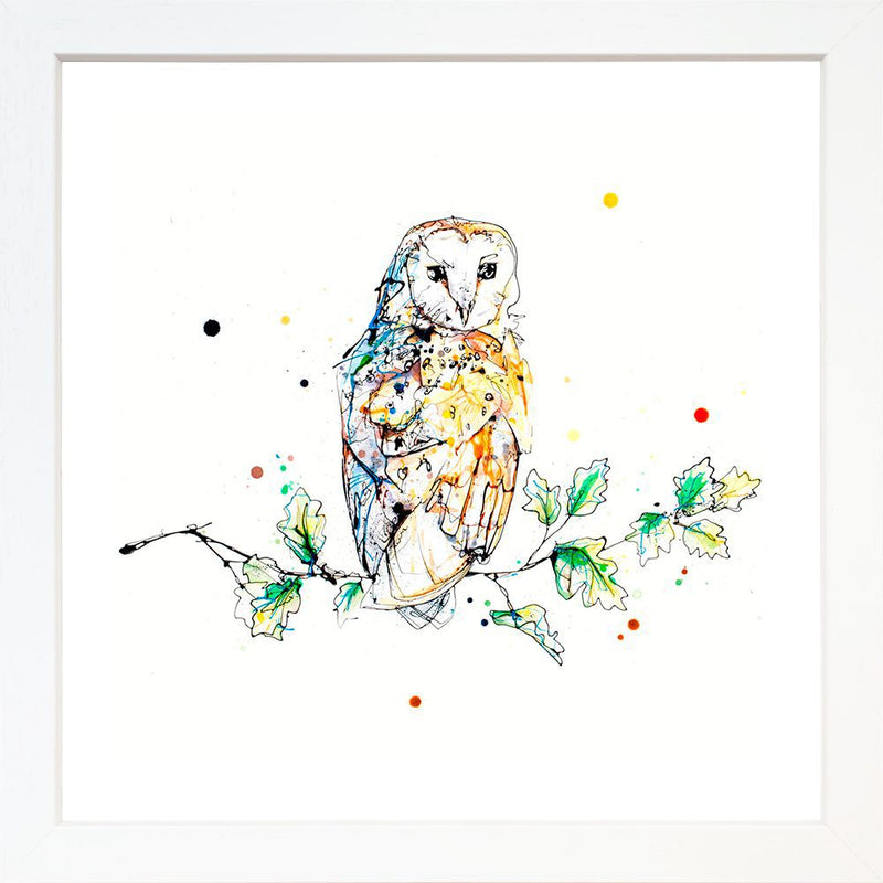 Curio - Barn Owl Print, 30x30cm with Size and Presentation Options