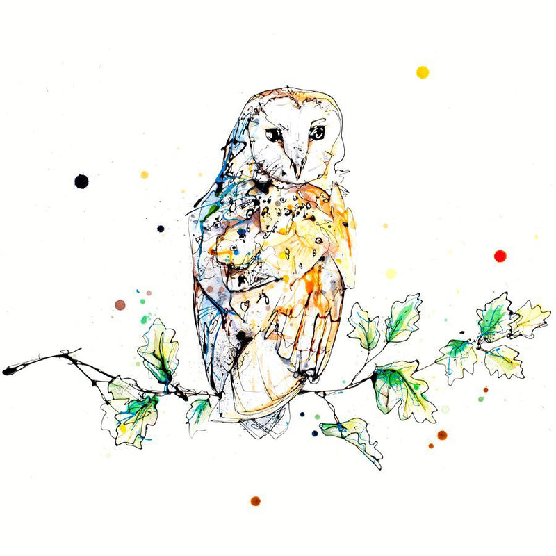 Curio - Barn Owl Print, 30x30cm with Size and Presentation Options