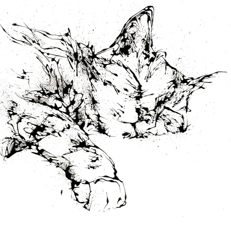 Dreamer - Cat Print with Size and Presentation Options