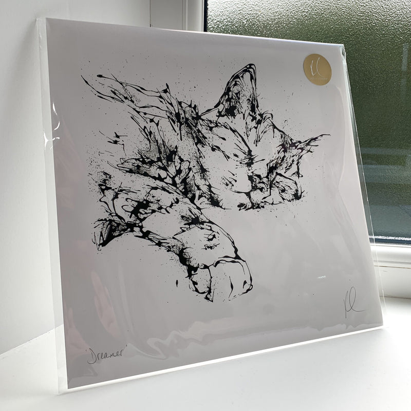 Dreamer - Cat Print with Size and Presentation Options