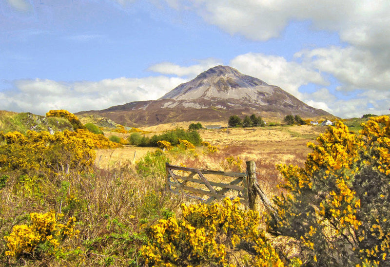 Errigal from Dunlewey