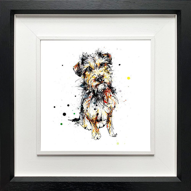 Expectation - Border Terrier Print with Size and Presentation Options