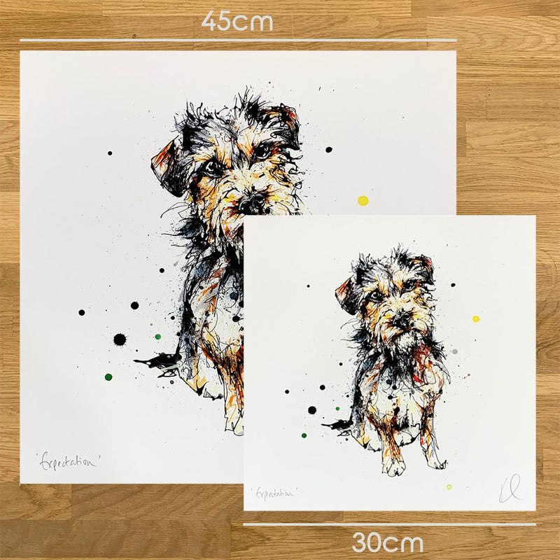 Expectation - Border Terrier Print with Size and Presentation Options