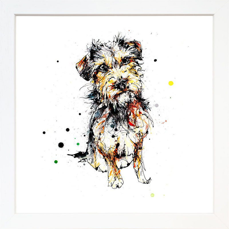 Expectation - Border Terrier Print with Size and Presentation Options