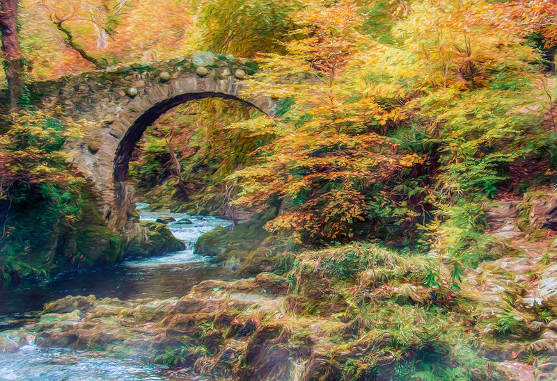 By Foleys Bridge, Newcastle