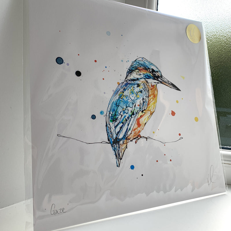 Gaze - Kingfisher Print with Size and Framing Options