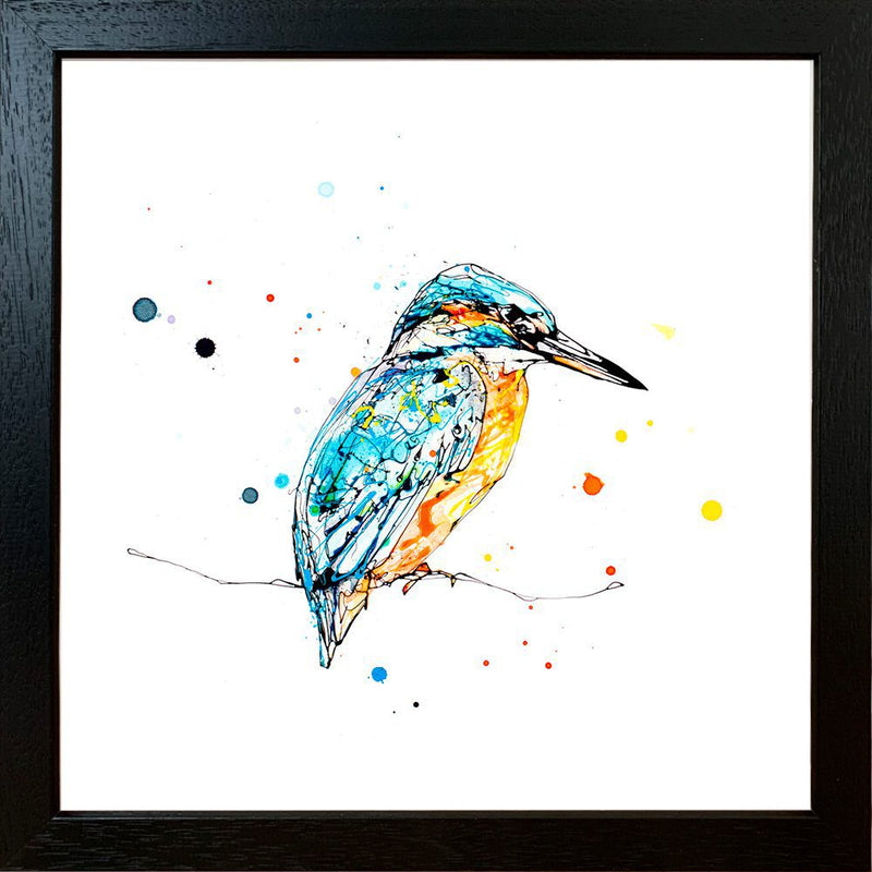 Gaze - Kingfisher Print with Size and Framing Options