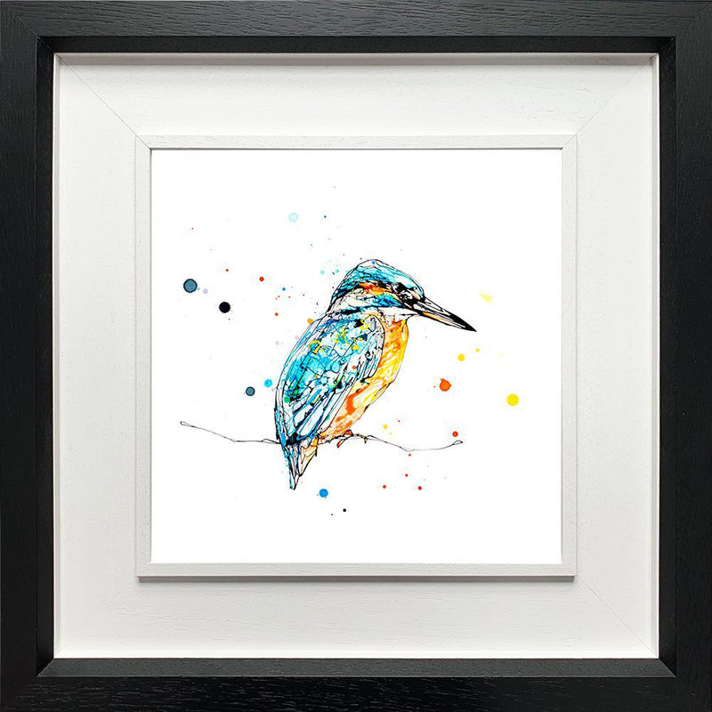 Gaze - Kingfisher Print with Size and Framing Options