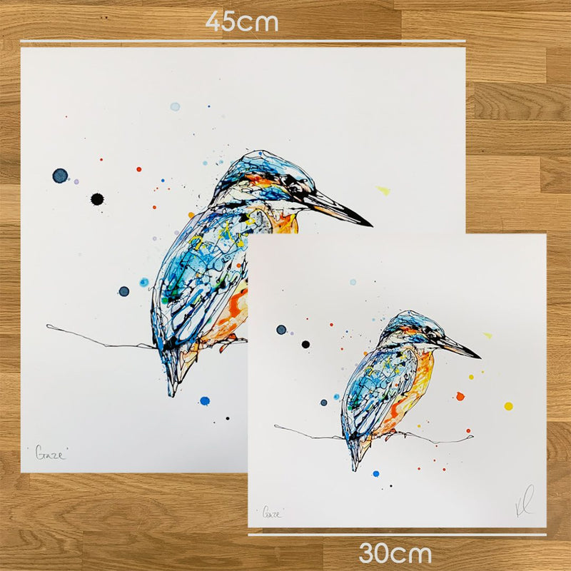 Gaze - Kingfisher Print with Size and Framing Options