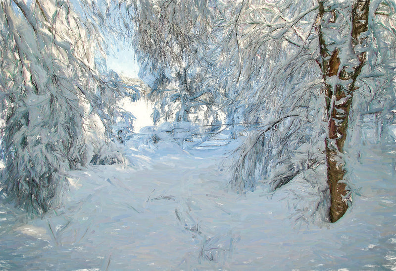 In Winters grip , Tulloch