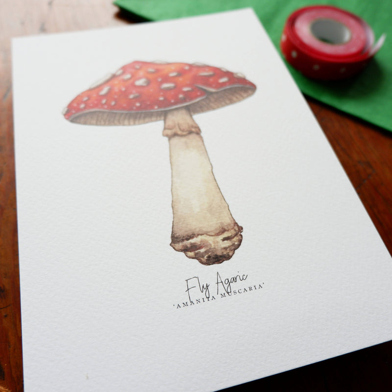 Fly Agaric A5 Art Print