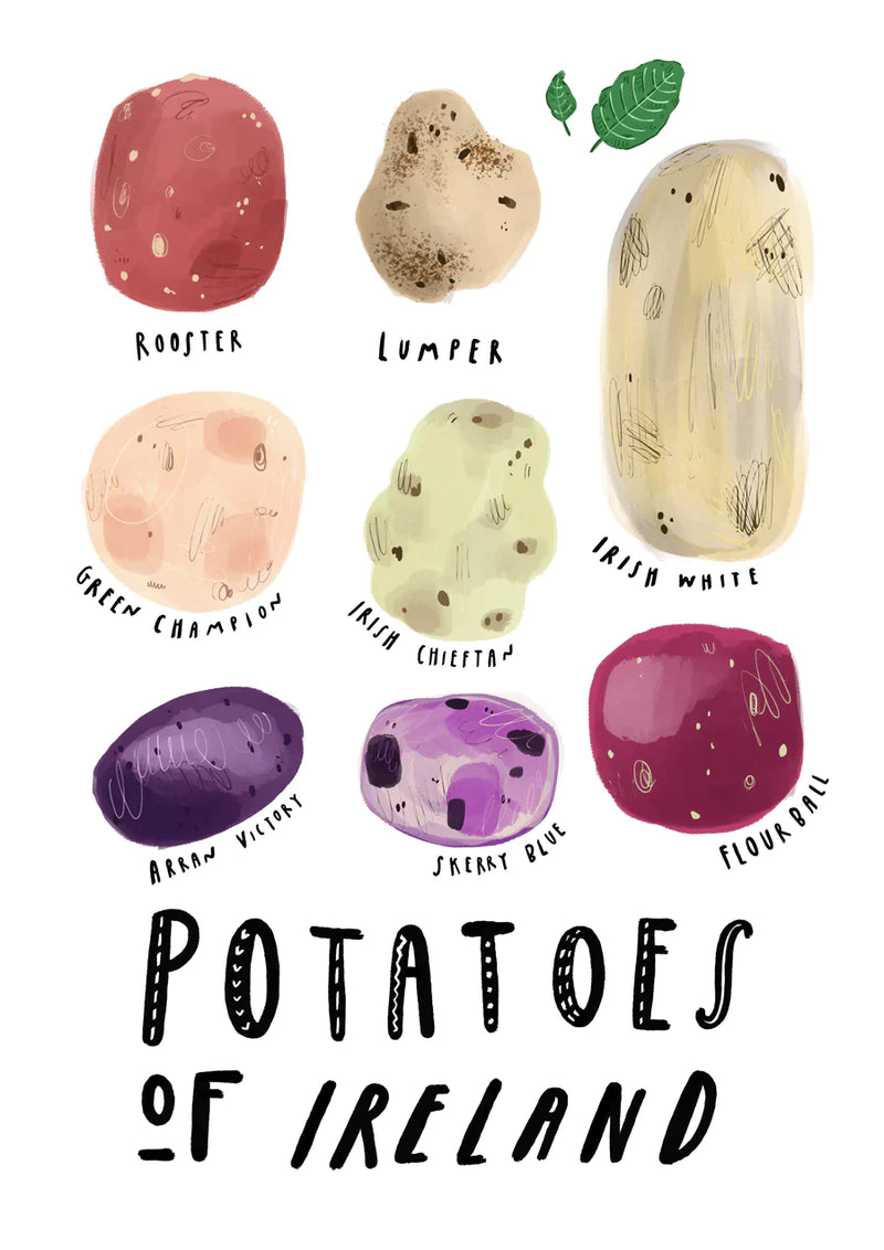 Potatoes of Ireland A4 and A5 Print - Peter Paints Pictures