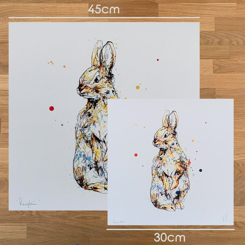 Pumpkin - Rabbit Print with Size and Presentation Options