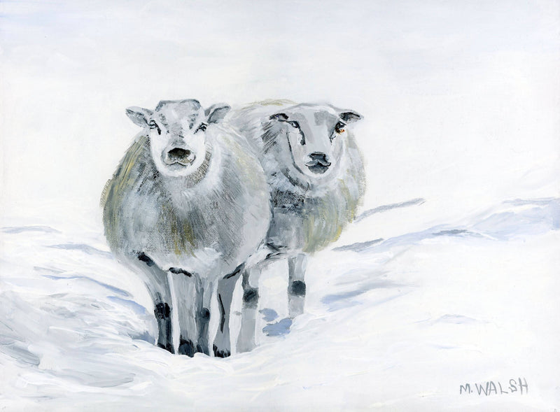 Sheep In Winter