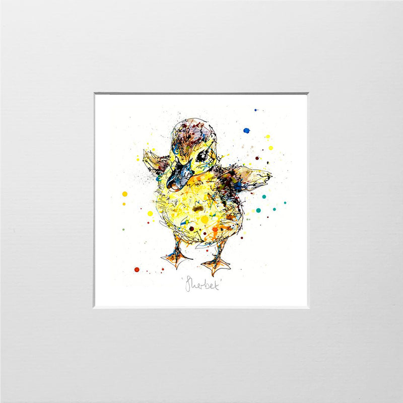 Sherbet - Duckling Print with Size and Presentation Options