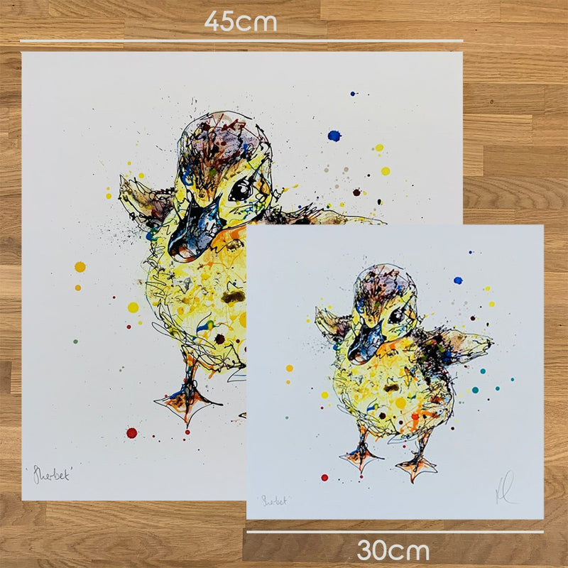 Sherbet - Duckling Print with Size and Presentation Options