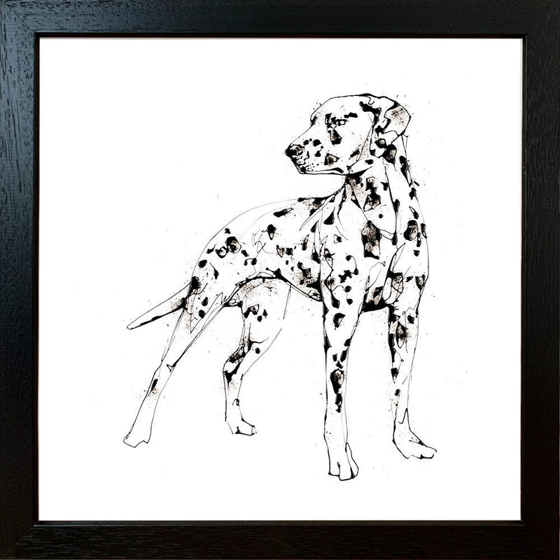 Spots - Dalmatian Print with Size and Presentation Options