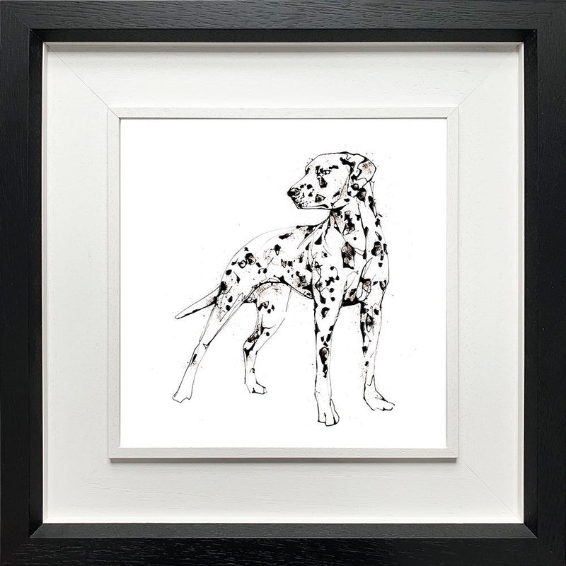 Spots - Dalmatian Print with Size and Presentation Options