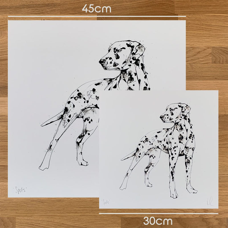 Spots - Dalmatian Print with Size and Presentation Options