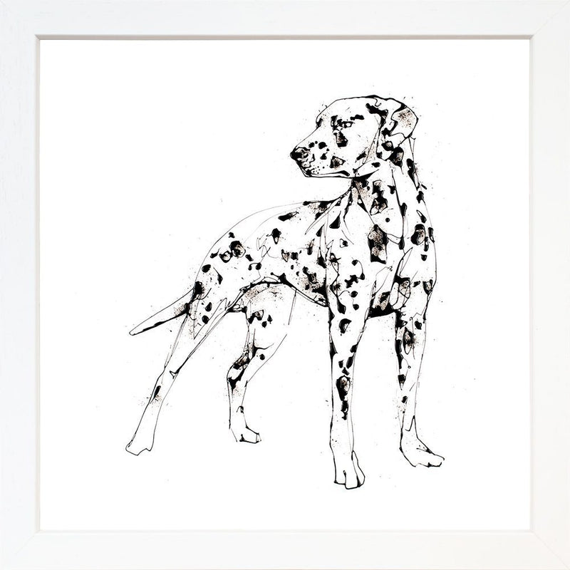 Spots - Dalmatian Print with Size and Presentation Options