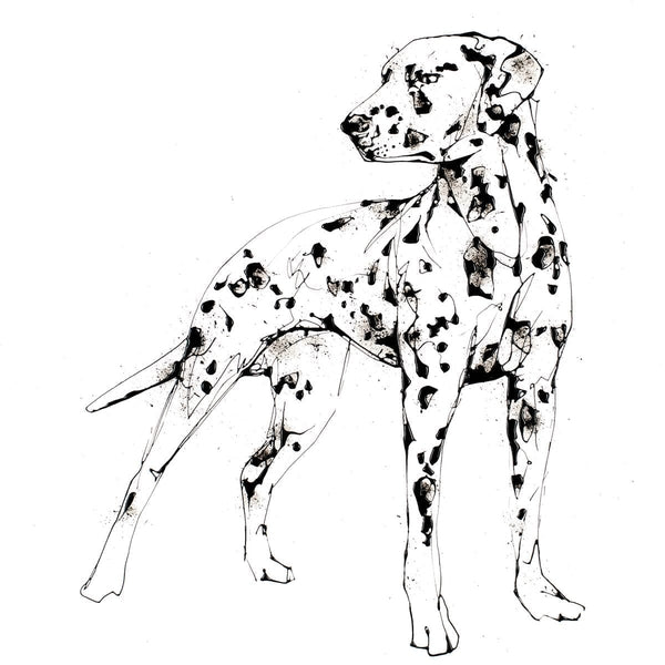 Spots - Dalmatian Print with Size and Presentation Options
