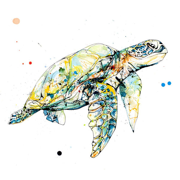 Tranquil - Sea Turtle Print, 30x30cm with Size and Presentation Options