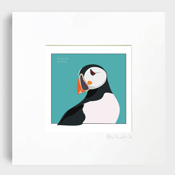 SEABIRD Puffin - Puifín Art Print