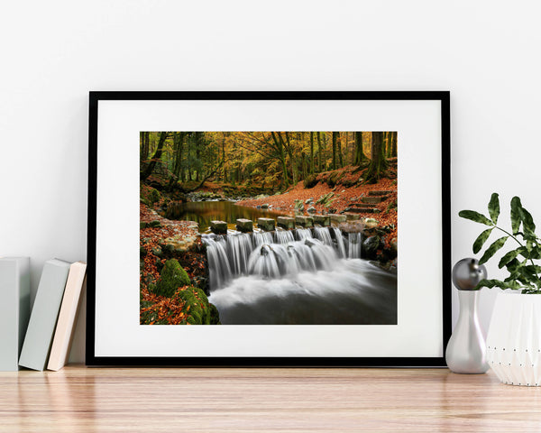 Tollymore Stepping Stones A4 Mounted Print