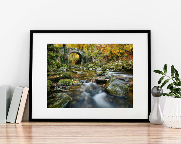 Foley's Bridge, Tollymore, A4 Mounted Print