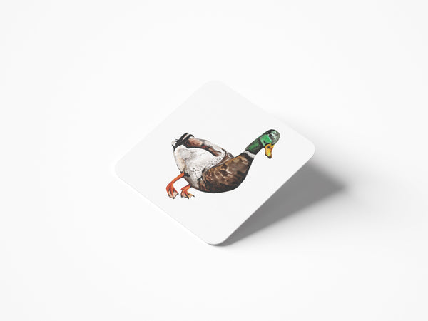 Duck Coaster