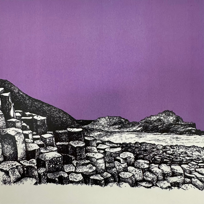 GIANT'S CAUSEWAY PURPLE Box Framed Print