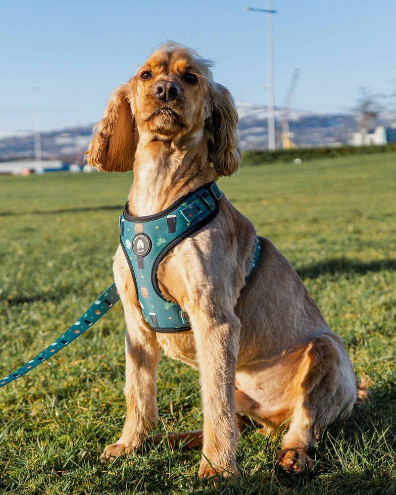 The Ireland Icons Pet Harness