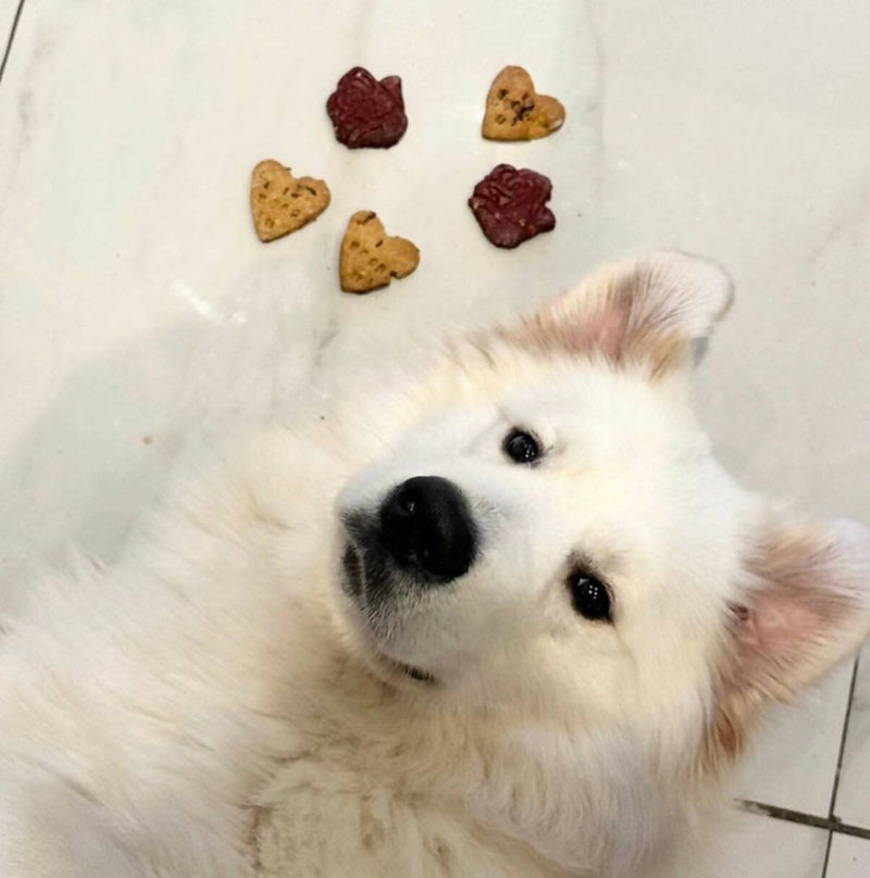 Baked dog treats