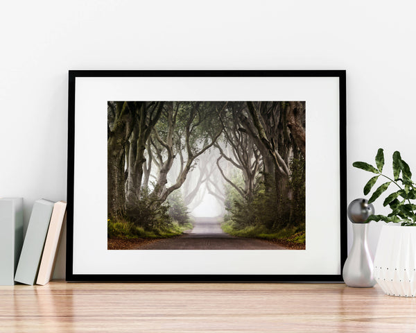 The Dark Hedges A4 Mounted Print