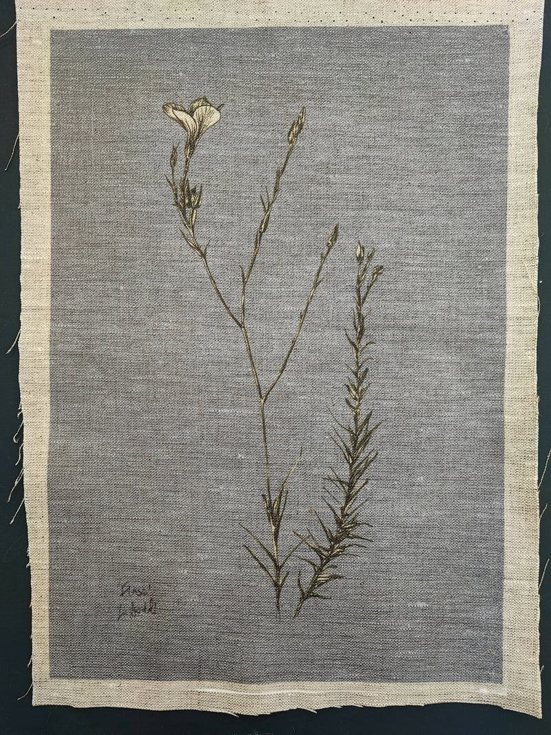 'Flax' on Irish Linen