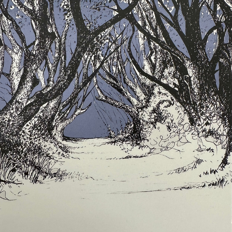 THE DARK HEDGES Box Framed Print